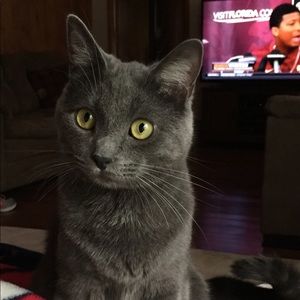 Meet your Posher, Ian